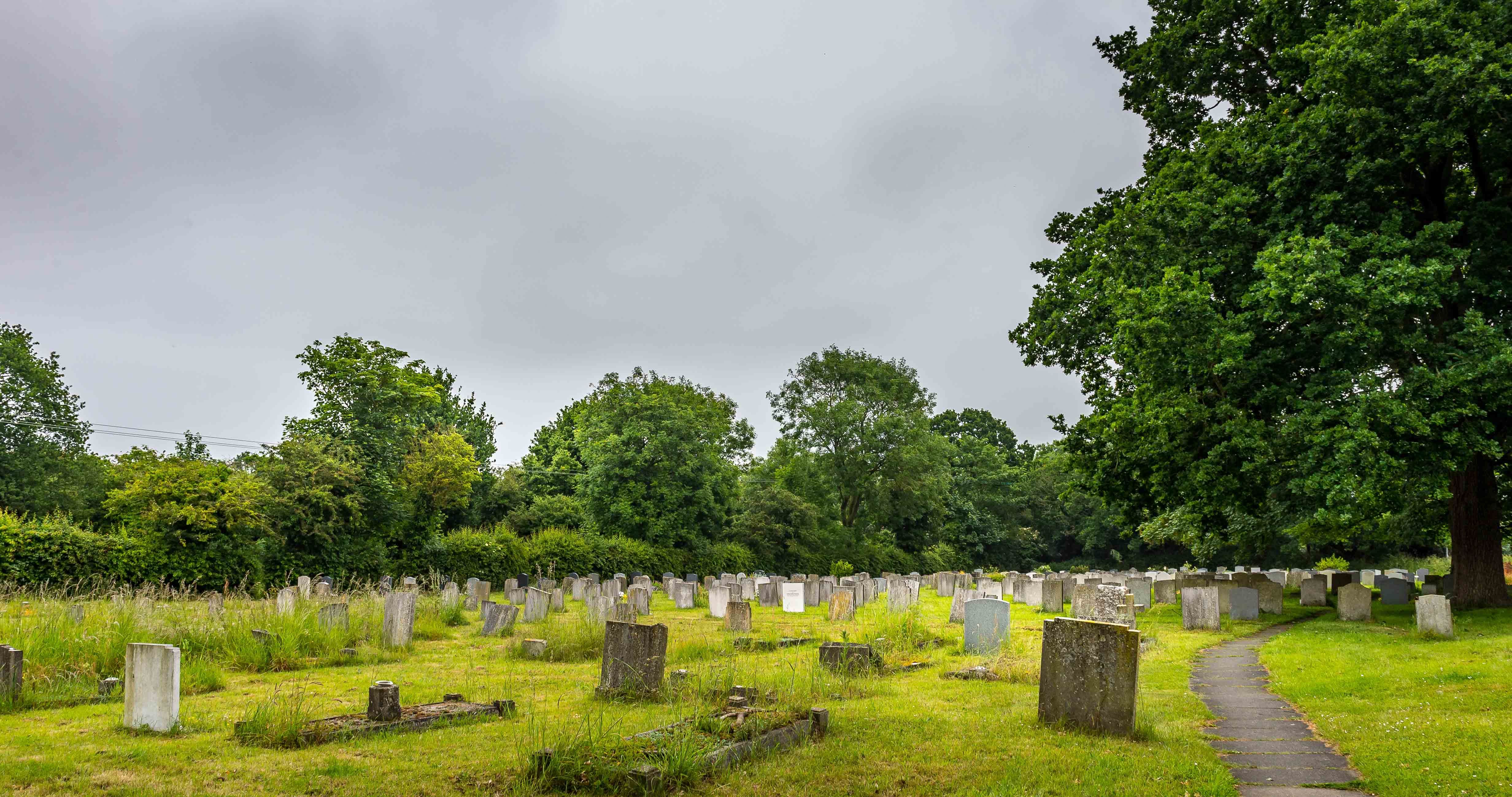 Churchyard-view1